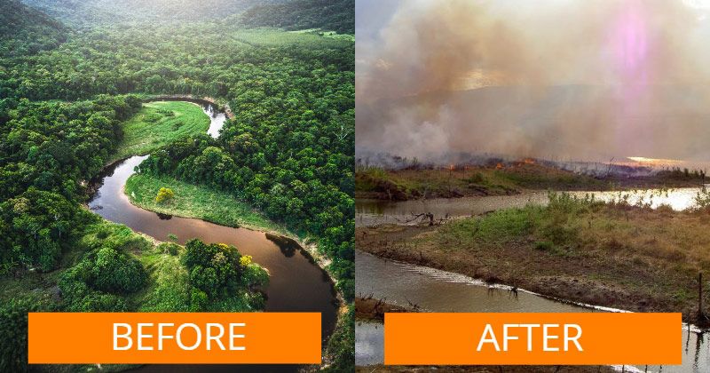 heartbreaking-pictures-of-the-amazon-wildfire-kidhours