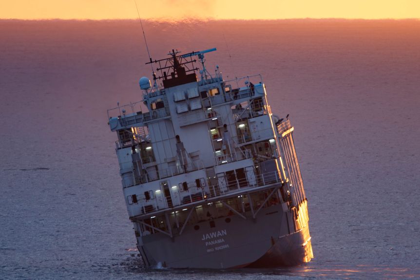 ship-accident-with-goats