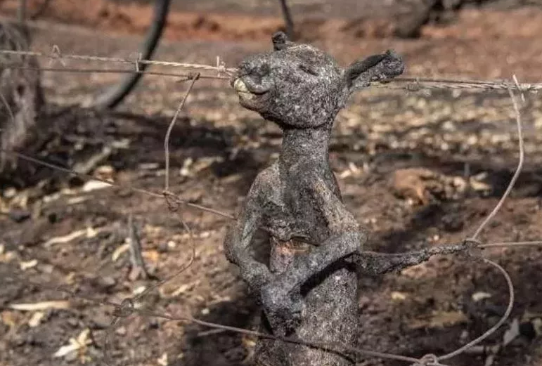 forest-fire-Australia