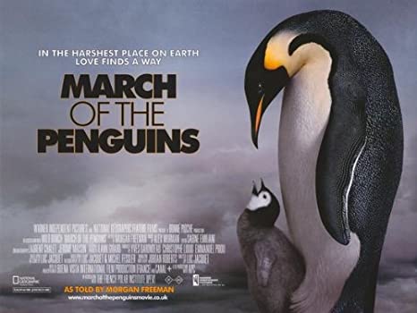 MARCH-OF-THE-PENGUINS-KIDHOURS