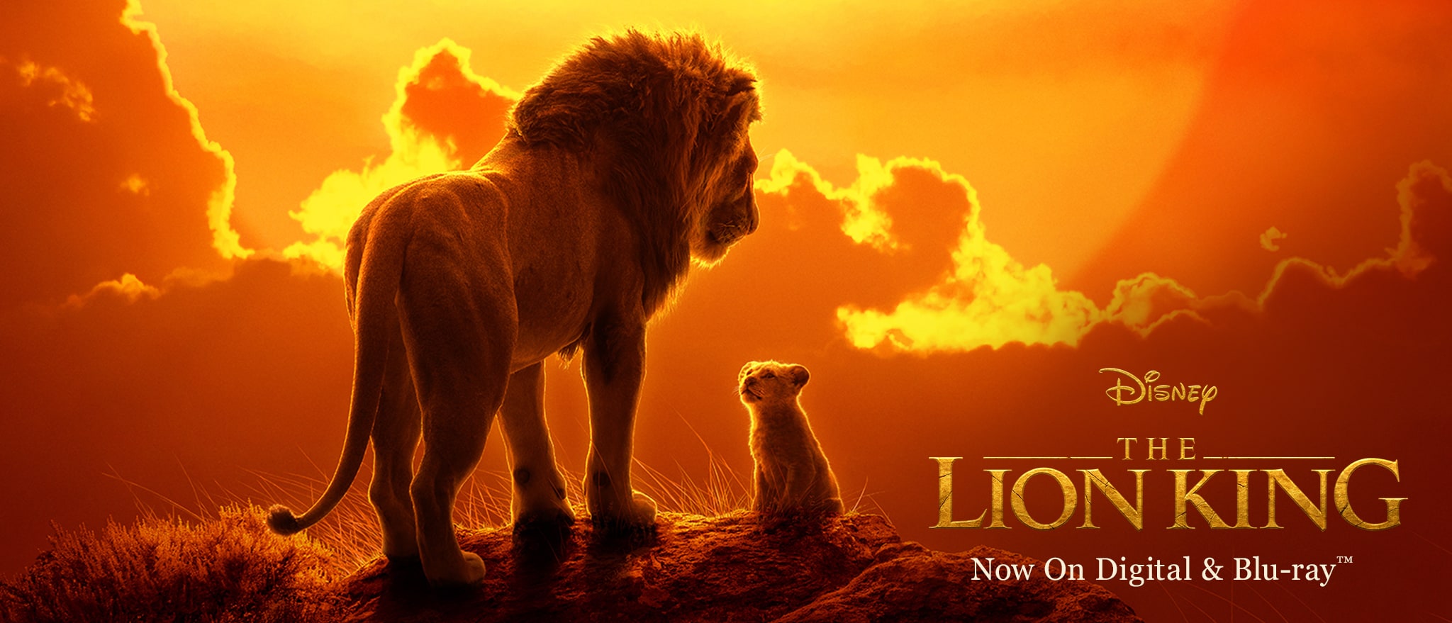 thelionking2019_KIDHOURS