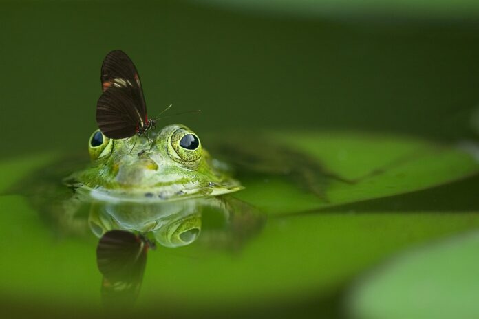 uyir palvakamai_Biodiversity