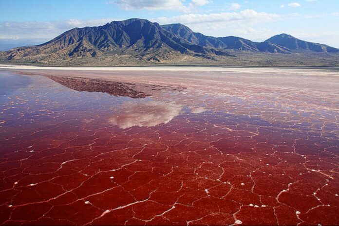 lake-natron-kidhours