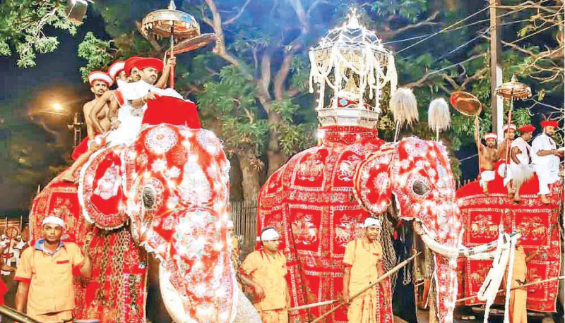 kandy perahera srilanka 