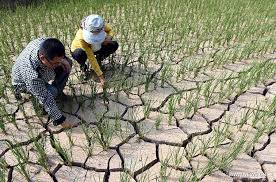 Tamil Children News China 