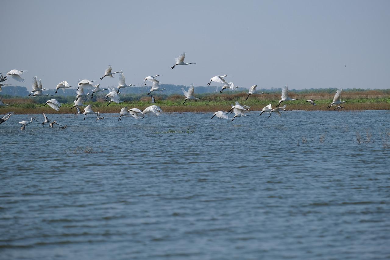 Ecotourism in Tamil