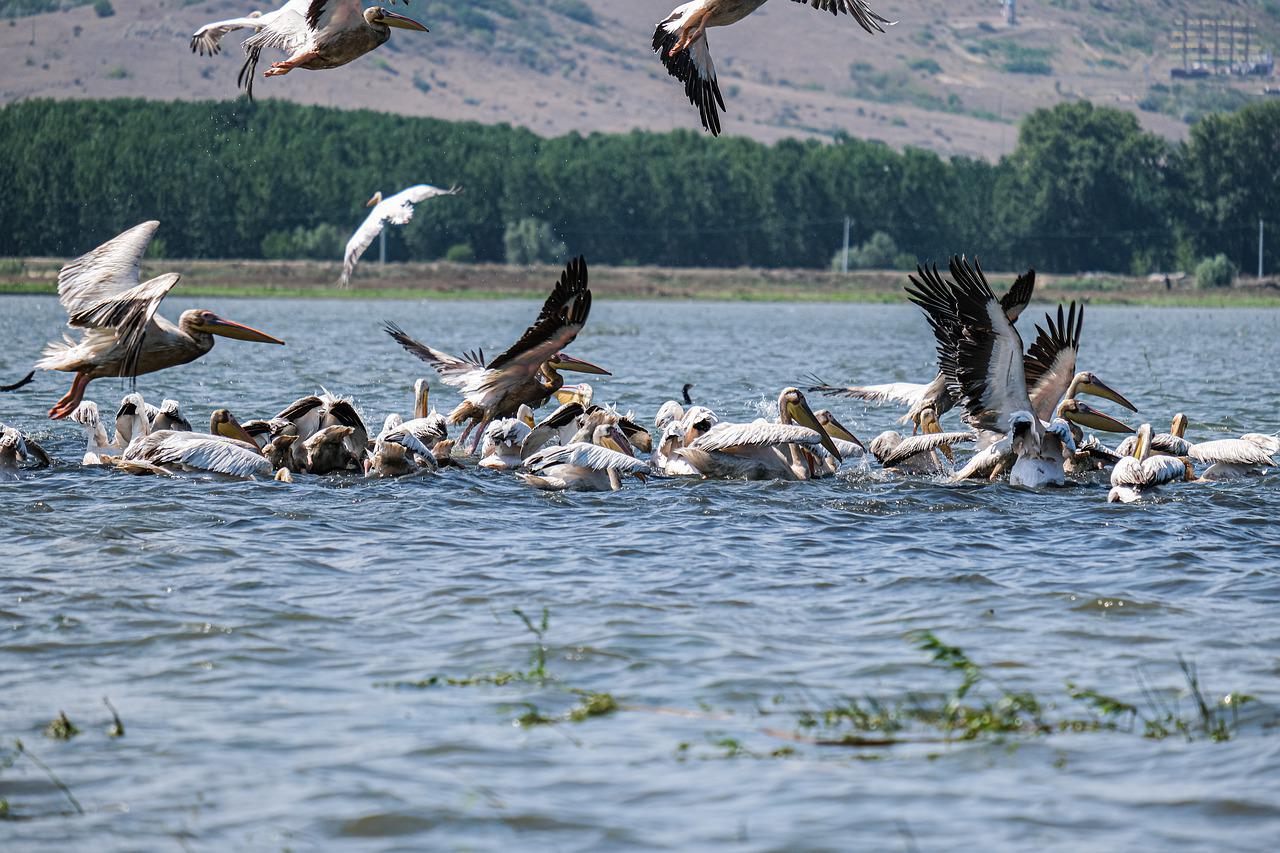 Ecotourism in Tamil