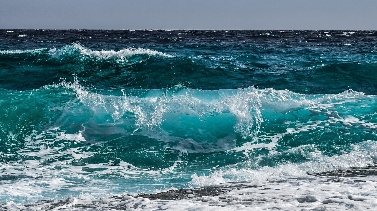 World Ocean Day in Tamil