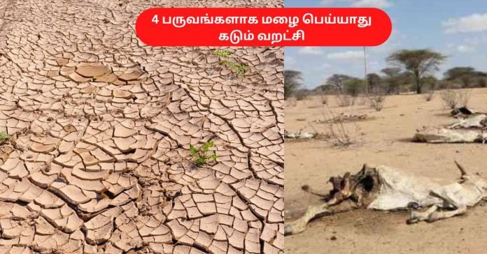 Severe Drought Affect  உலக காலநிலை செய்திகள்