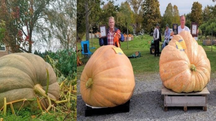 Giant Pumpkin Product சிறுவர்களுக்கான உலக செய்திகள்