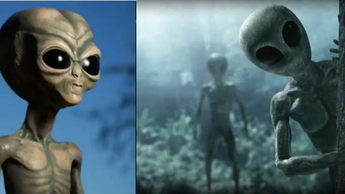 People About Aliens சிறுவர்களுக்கான உலக செய்திகள்