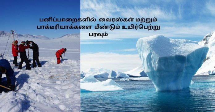 Virus In Glaciers சிறுவர்களுக்கான உலக செய்திகள்