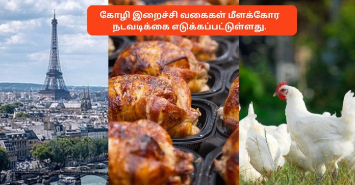 Warning About France Chicken சிறுவர்களுக்கான உலக செய்திகள்