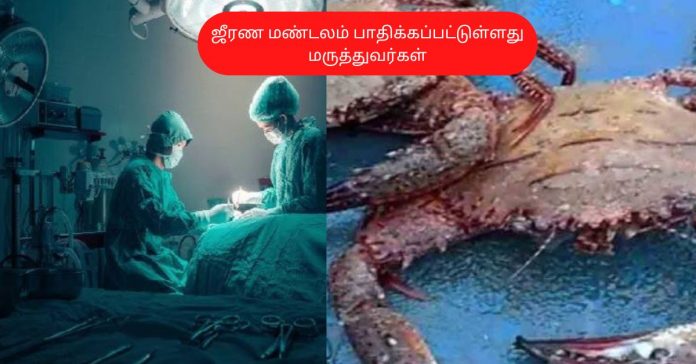 Eat alive Crab சிறுவர்களுக்கான உலக செய்திகள்