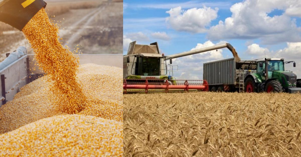 Russia UN Grains Agreement  சிறுவர்களுக்கான உலக செய்திகள்