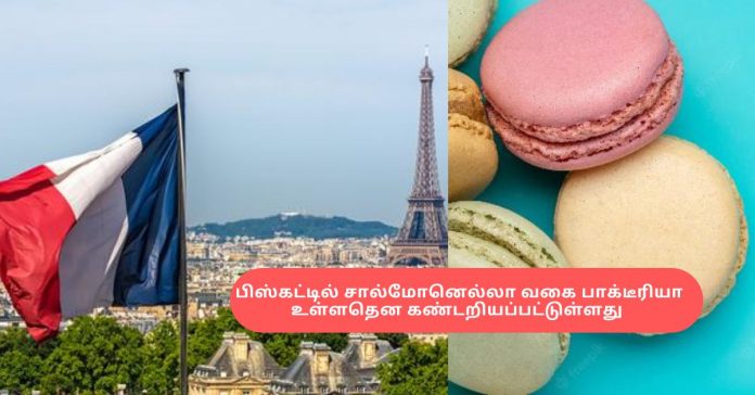 Bacteria in French Biscuits சிறுவர்களுக்கான உலக செய்திகள்