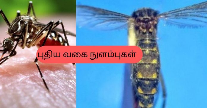 New Species of Mosquito  சிறுவர்களுக்கான உலக செய்திகள்