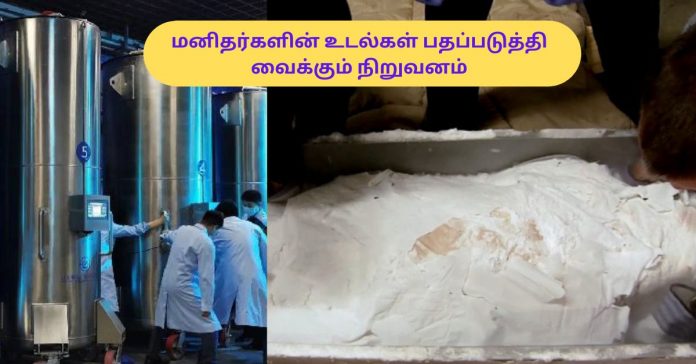 Different Processing of USA Company சிறுவர்களுக்கான உலக செய்திகள்