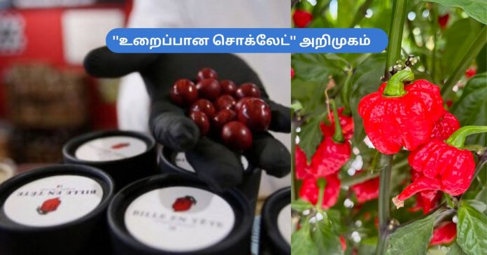 World's First Frozen Chocolate சிறுவர்களுக்கான உலக செய்திகள்