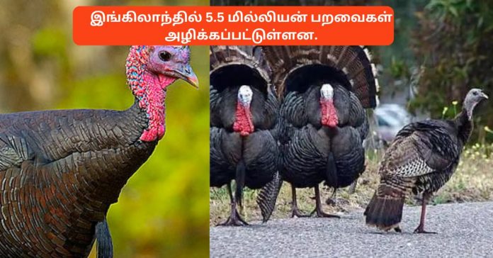 Restrictions of British Government சிறுவர்களுக்கான உலக செய்திகள்