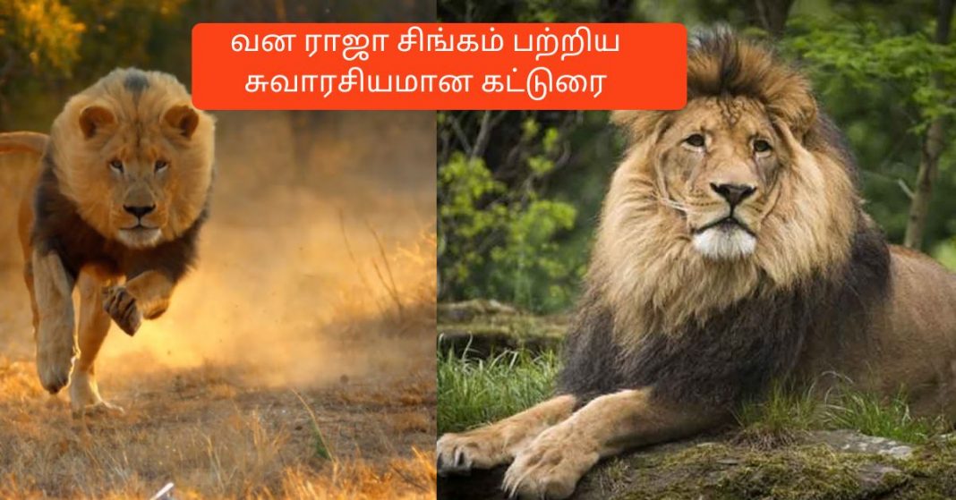 essay about lion in tamil