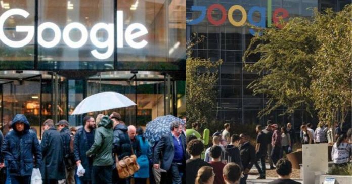 Google Employees  சிறுவர்களுக்கான உலக செய்திகள்