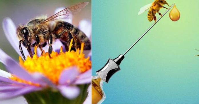 Preventive Medicine for Bees பொது அறிவு செய்திகள்