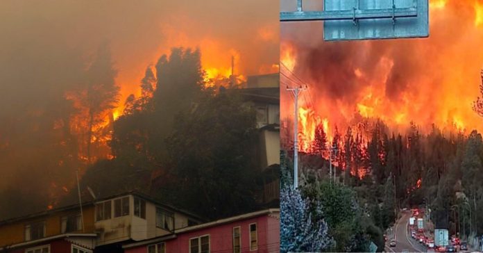 Forest Fire  சிறுவர்களுக்கான உலக செய்திகள்