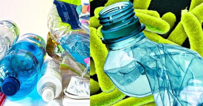 Bacteria that eat plastic சிறுவர்களுக்கான உலக செய்திகள்