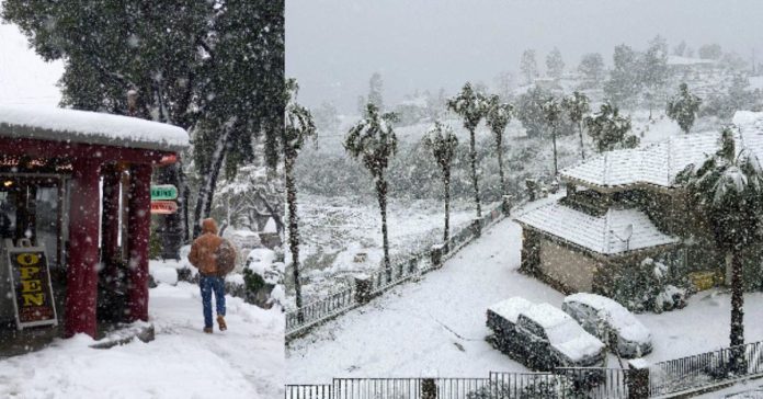 Snow storm in California உலக காலநிலை செய்திகள்