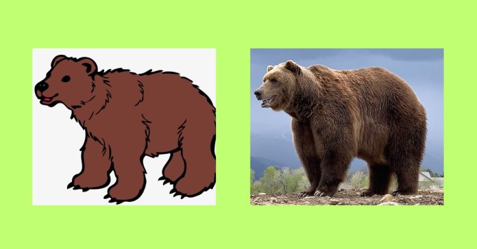 English Short Essay About Bear