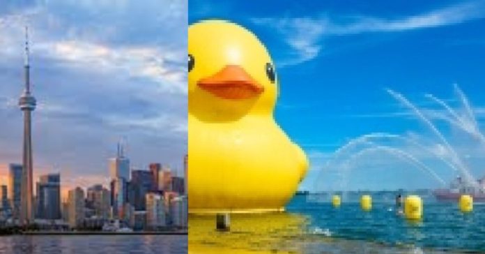 World Largest Duck சிறுவர்களுக்கான உலக செய்திகள்