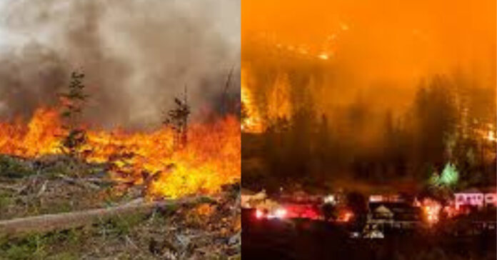 Colambia Forest Fire  சிறுவர்களுக்கான உலக செய்திகள்