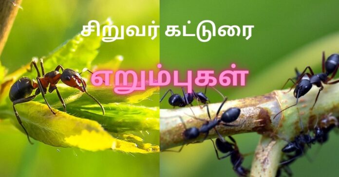 Tamil Essay about Ants  சிறுவர் கட்டுரை