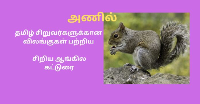 Short Essay About Animal Squirrel,Tamil short Essay Squirrel  சிறுவர் கட்டுரை