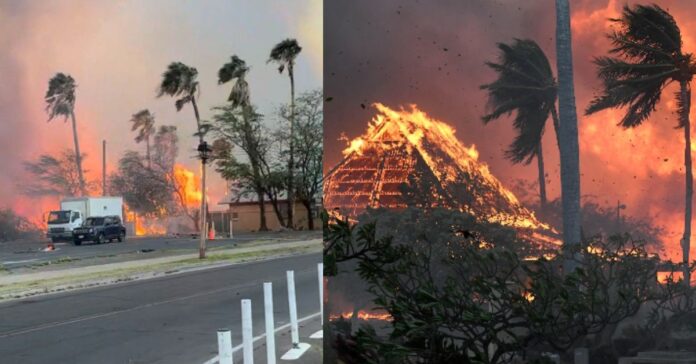 Forest Fire  சிறுவர்களுக்கான உலக செய்திகள்