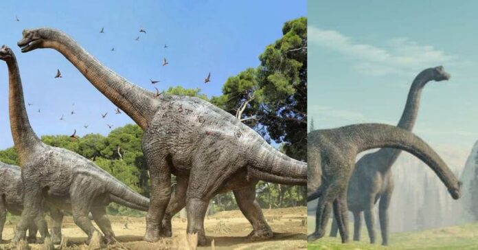 Herbivore Dinosaur சிறுவர்களுக்கான உலக செய்திகள்