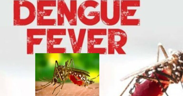 Dengue Treatment  சிறுவர்களுக்கான உலக செய்திகள்