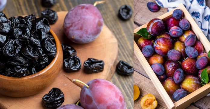 Plums Product Countries  பொது அறிவு செய்திகள்