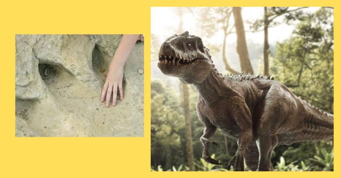 New Foot Path of Dinosaur  சிறுவர்களுக்கான உலக செய்திகள்