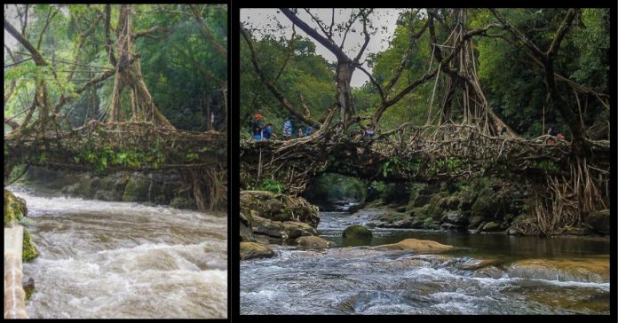 Miraculous Bridge  பொது அறிவு செய்திகள்