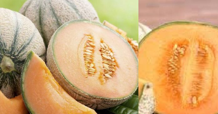 Dangerous Fruit  சிறுவர்களுக்கான உலக செய்திகள்