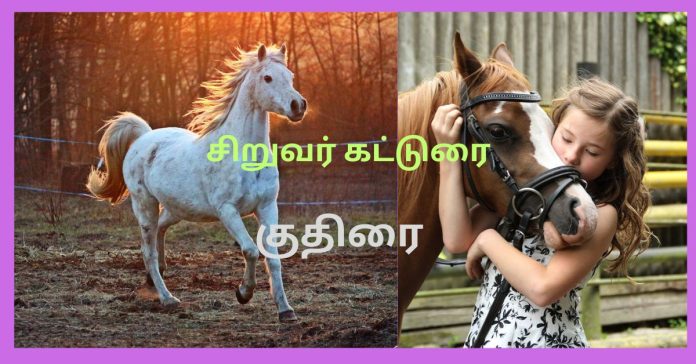 Tamil Short Essay Horse சிறுவர் கட்டுரை