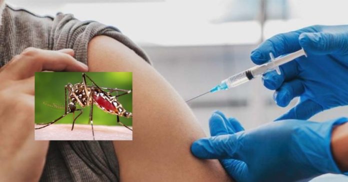 Dengue Vaccination  சிறுவர்களுக்கான உலக செய்திகள்