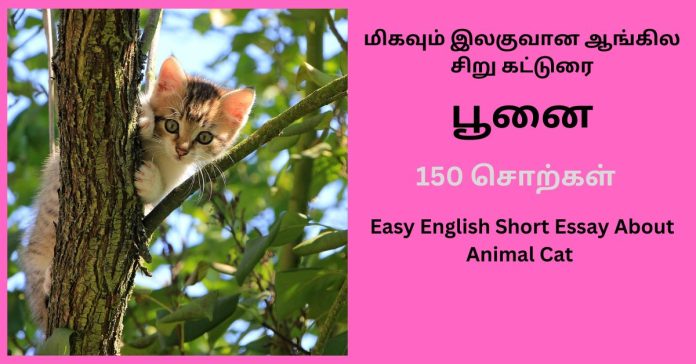 English Short Essay Animal Cat  கல்வி