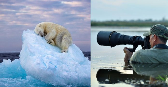 Best wildlife photography பொது அறிவு செய்திகள்