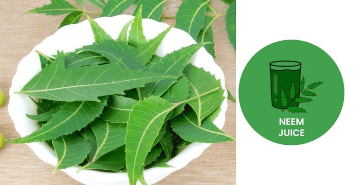 Eat Neem Leaves  மூலிகைகளை சேகரிப்போம்