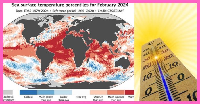 Global Heat 2024  உலக காலநிலை செய்திகள்