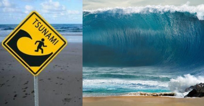 Tsunami Warning in Japan  உலக காலநிலை செய்திகள்