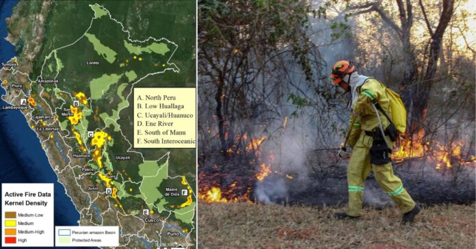 Forest Fire 15 Dead  உலக காலநிலை செய்திகள்